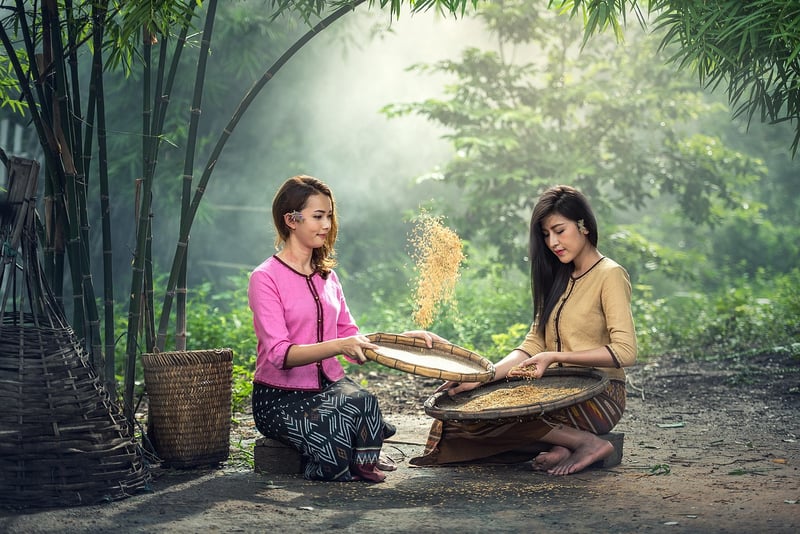 Ethnic Tradition Blends
